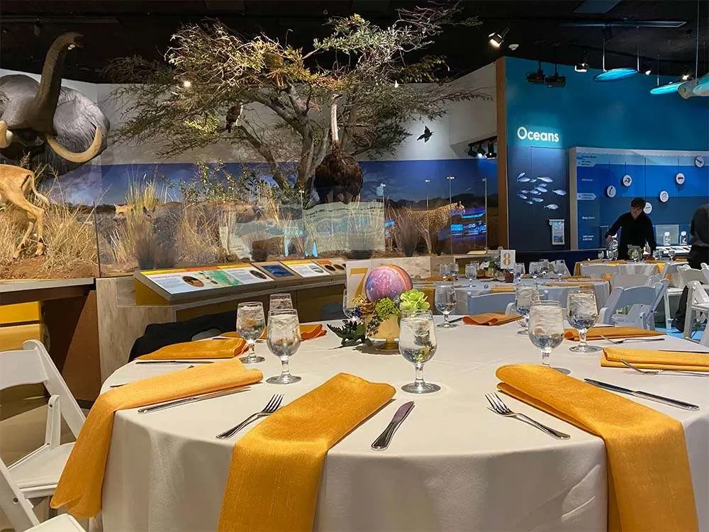 Delaware Museum of Nature and Science — reception tables among exhibits