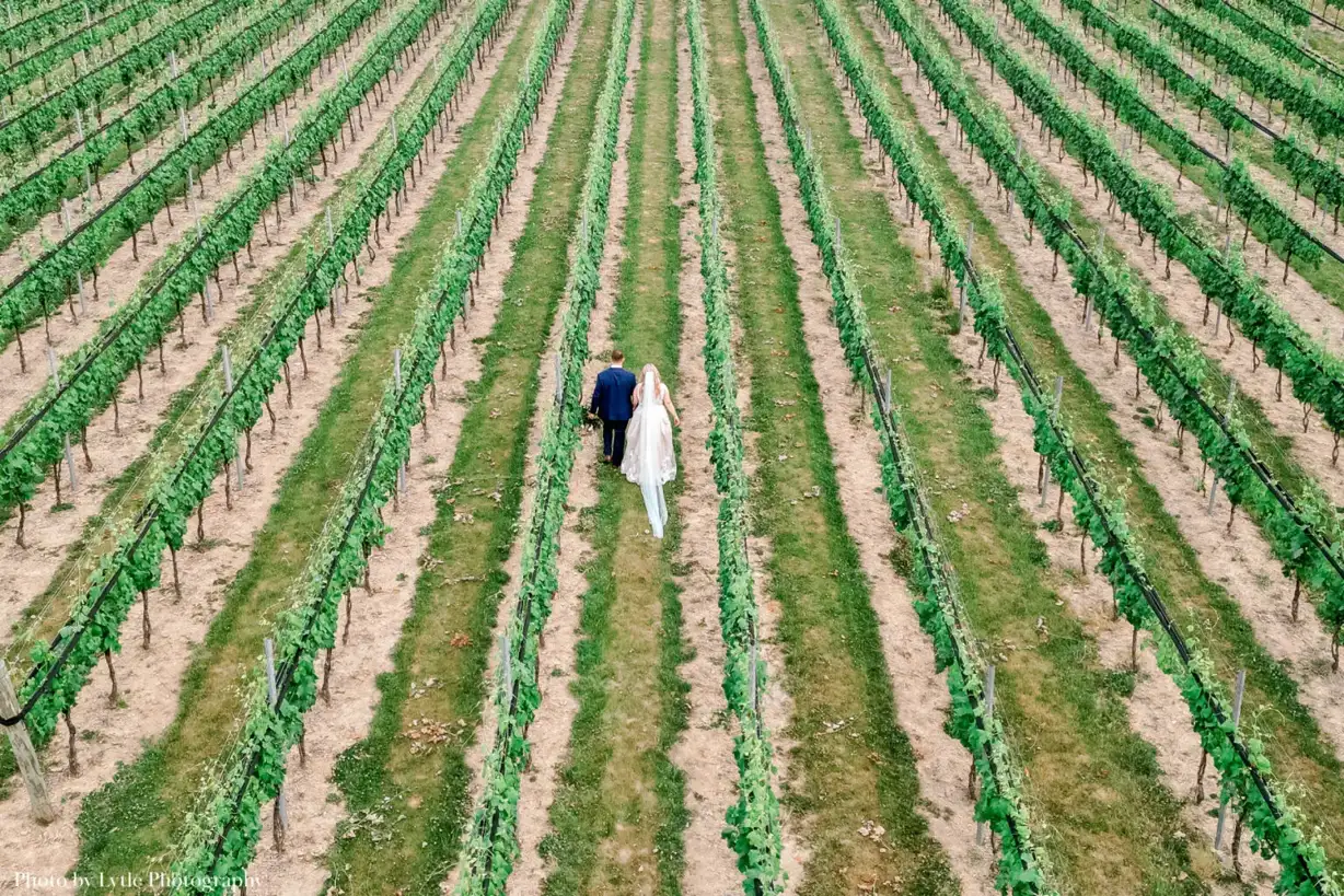 Folino Estate Vineyard & Winery — couple among vineyard rows